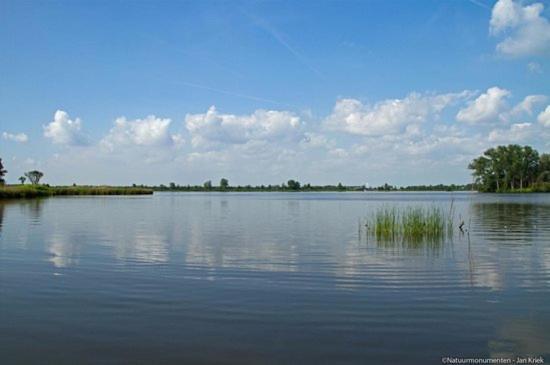 Froukje'S B&B Woerdense Verlaat Экстерьер фото